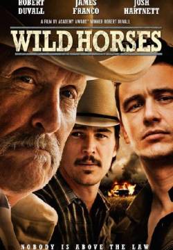 Wild Horses