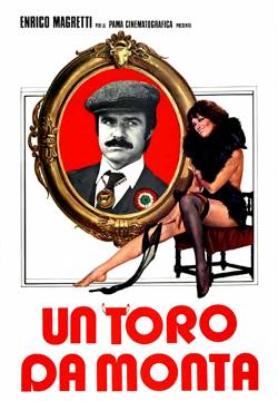 Un toro da monta