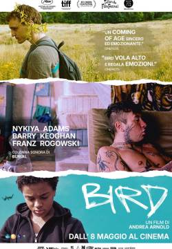 Bird