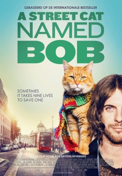 A spasso con Bob