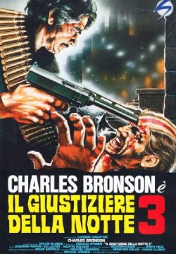 Il giustiziere della notte 3