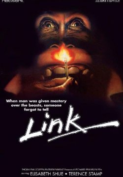 Link