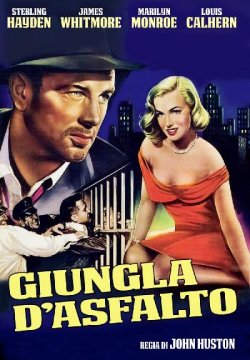 Giungla d'asfalto