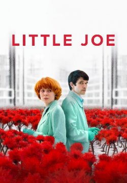 Little Joe