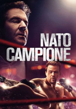 Nato campione