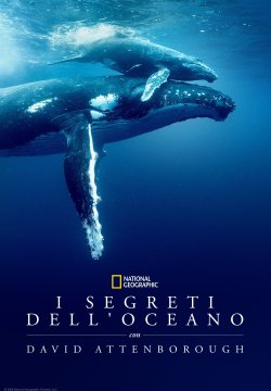 I Segreti Dell’oceano con David Attenborough