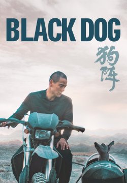 Black Dog